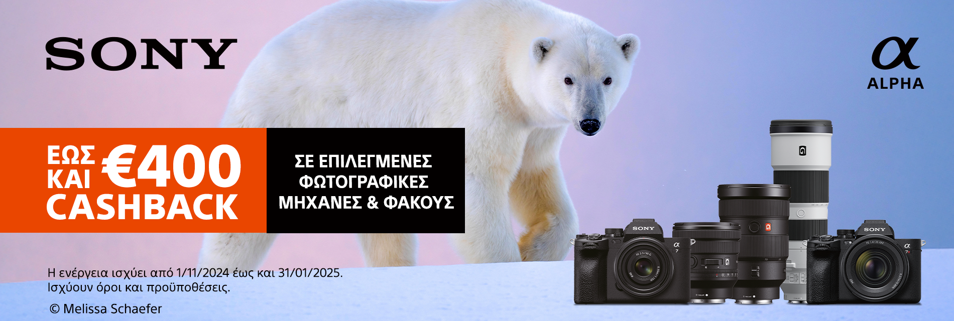 Sony Winter Cashback