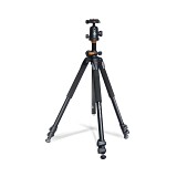 Vanguard Alta Pro 263AB 100 with SBH100 ballhead